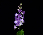 Sursă foto: unesco.org